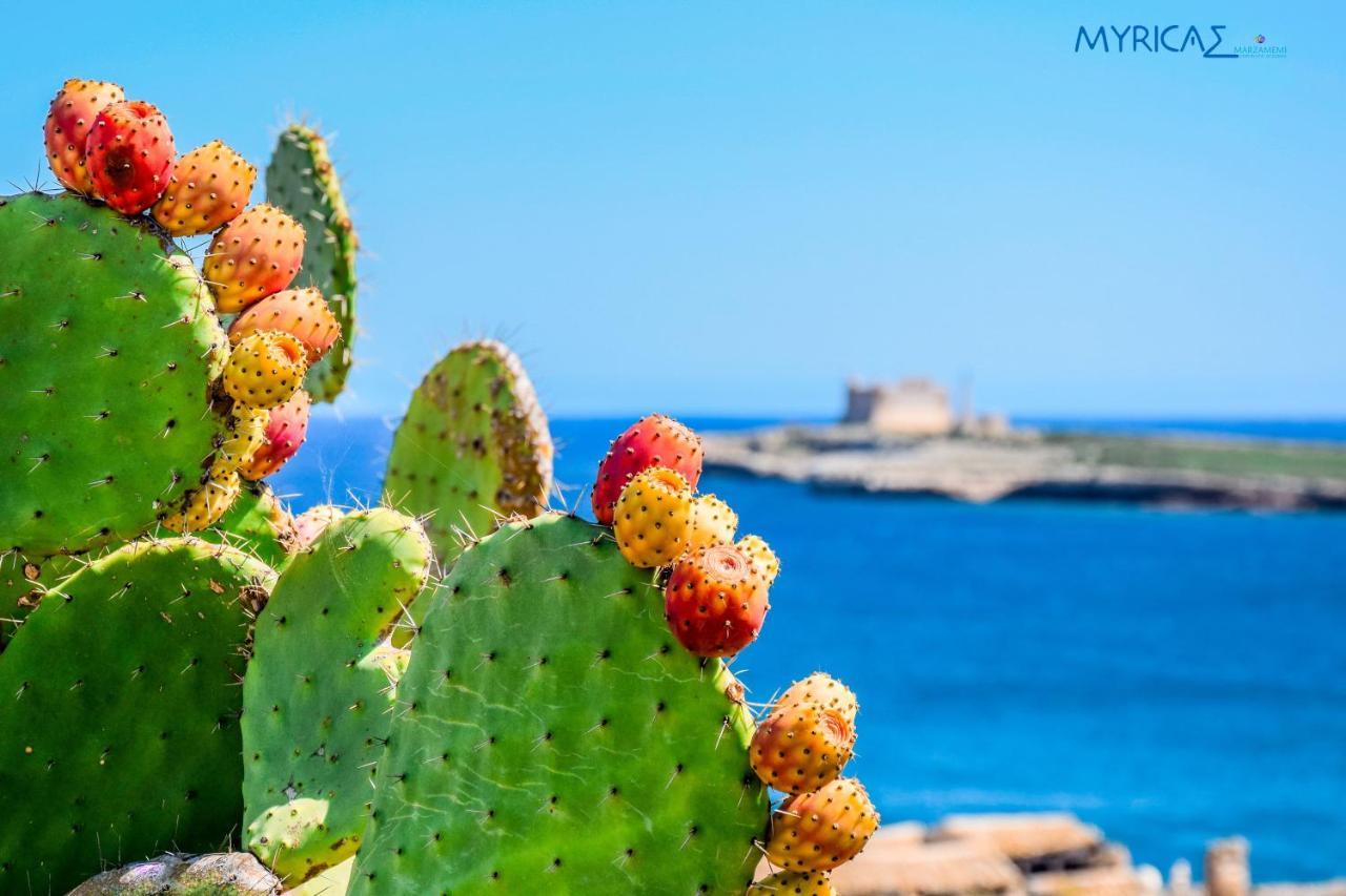 Appartamento MYRICAE Marzamemi Ospitalità Siciliana Esterno foto